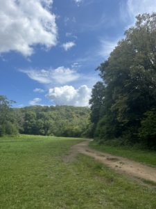 Read more about the article Baker’s Park – Newton Abbot